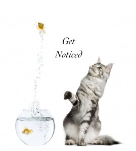 Cat watching goldfish leaping out of goldfish bowl against white background